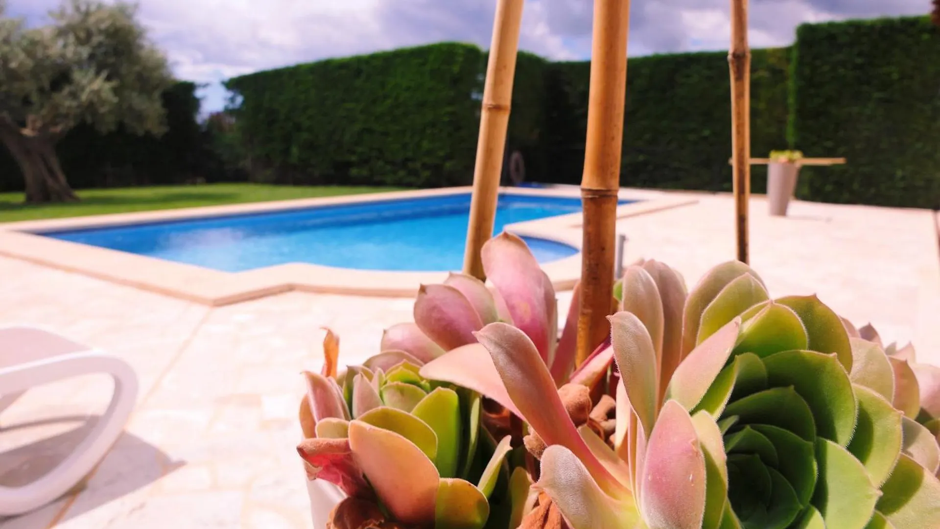 New, Premium Finca Mit Starlight-Pool! South-East Coast, Cala D Or S'Horta 0*,  Spanien